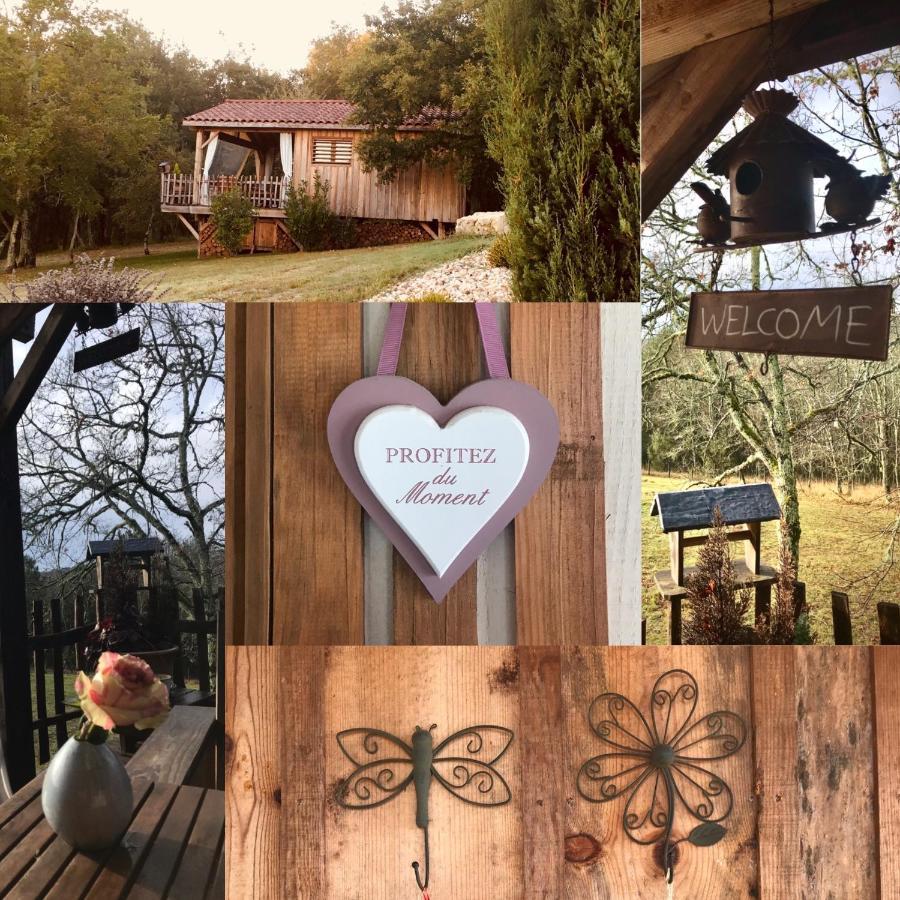 Le Lion D'Or En Perigord Bed and Breakfast Mauzac-et-Grand-Castang Eksteriør billede